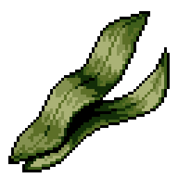 Seaweed