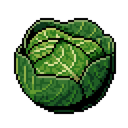 Cabbage